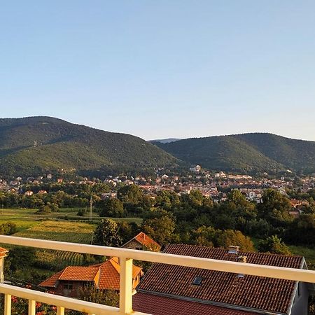 Apartman Trifunovic Sokobanja Apartment Exterior photo