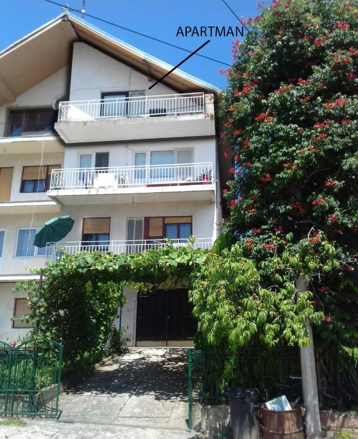 Apartman Trifunovic Sokobanja Apartment Exterior photo