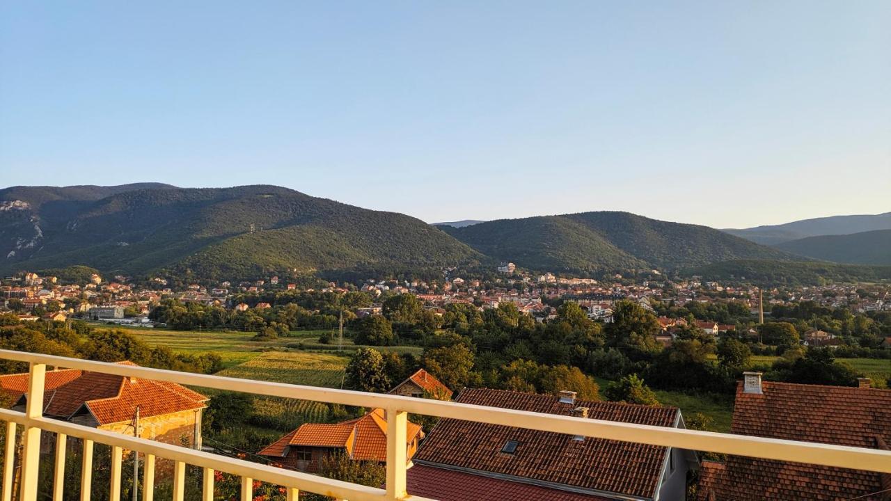 Apartman Trifunovic Sokobanja Apartment Exterior photo